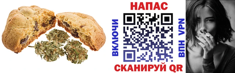 MEGA ONION  наркотики  Карасук  Cannafood конопля 