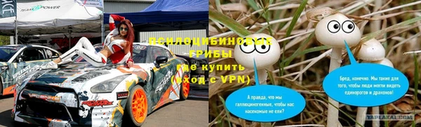 ГАЛЛЮЦИНОГЕННЫЕ ГРИБЫ Дмитровск