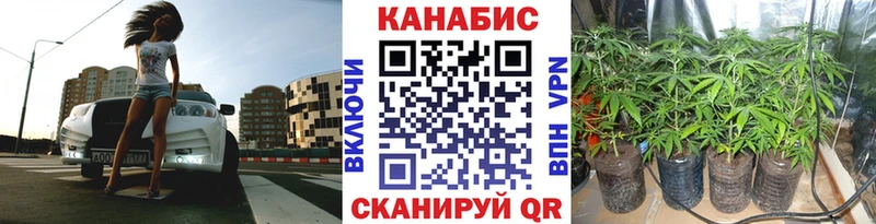 Канабис гибрид Карасук